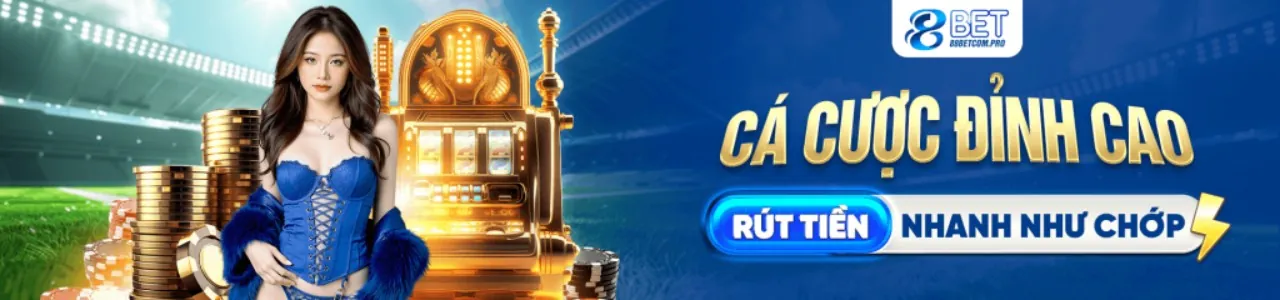 Minh họa người dùng kiểm soát cài đặt quyền riêng tư và cookie của họ